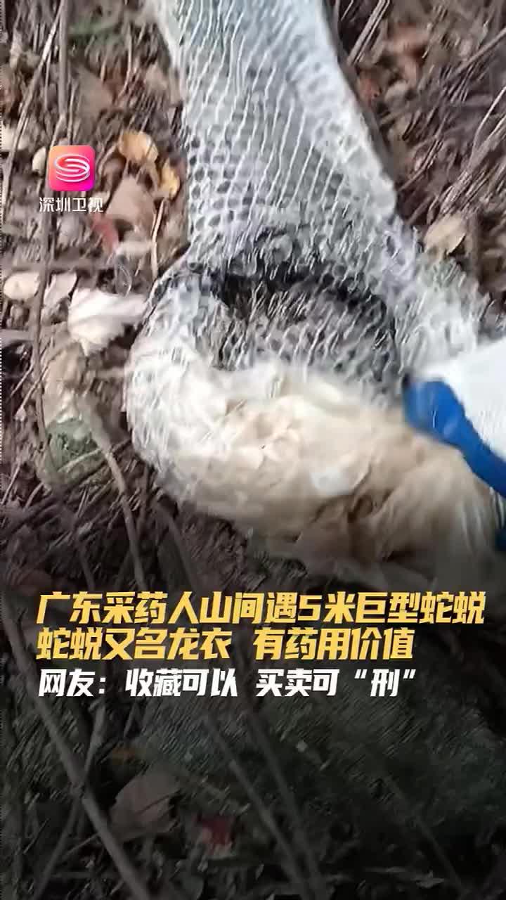 根植浙大科研，引領(lǐng)室內(nèi)健康——浙江冰蟲(chóng)環(huán)?？萍及l(fā)展紀(jì)實(shí)